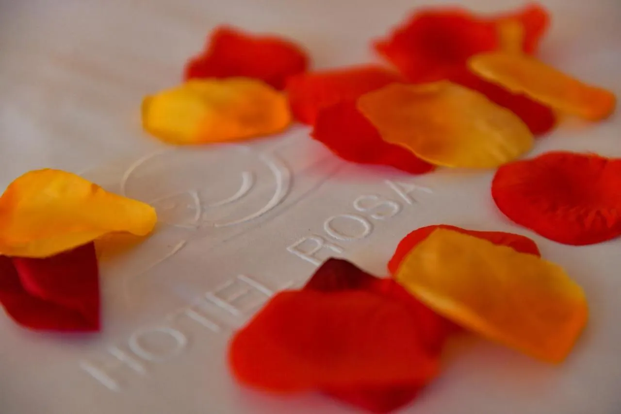 ***  Hotel Rosa & Spa Begur Spanien